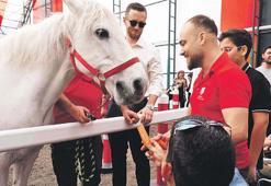 Atla terapi büyük ilgi gördü