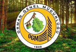 OGM YENİ İŞÇİ ALIMI BAŞVURU: Orman Genel Müdürlüğü geçici ve sürekli işçi alımı başvurusu nereden, nasıl yapılır?