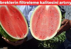 Böbreklerin filtreleme kalitesini artırıyor! Sıvı atılımını hızlandırıyor: Yaz gelir gelmez manavdan alın