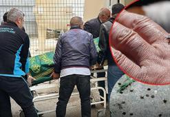 Sivas'ta 2 çocuk annesi keneden vefat etmişti! Uzmanlar uyarıyor: Mayıs ayında artıyor, yapılan bu hata ölüme sürükleyebilir!