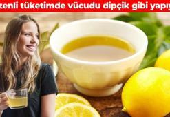 Limon çekirdeğini kaynatıp için! Her gün 1 bardak tüketin: Antioksidan içeriğiyle yaşlanmayı yavaşlatıyor