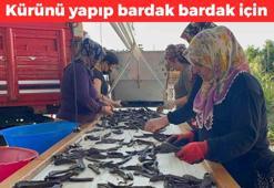 Geleneksel tıbbın mucizesi olarak biliniyor! Kürünü yapıp bardak bardak için: İltihabın kökünü kurutuyor, kansızlığı günler içerisinde gideriyor