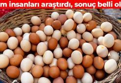 Yumurtanın çatlamasını engelliyor! 180 yumurta üzerinde test yapıldı: Meğer böyle yapmak gerekiyormuş