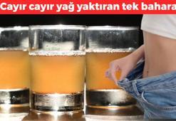 En faydalı zayıflama bitkisi olarak biliniyor! Çayını yapıp bardak bardak için: Vücutta biriken yağları cayır cayır eritiyor