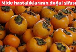 Kan yapan besinler listesinde ilk sırada! Jel gibi meyve mideyi saniyesinde yatıştırıp iltihabı gideriyor