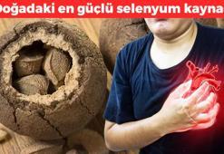 Doğadaki en güçlü selenyum kaynağı! Faydasını öğrenen poşet poşet alıyor: Kalbi tertemiz yapıyor, kolesterol seviyelerini dengeliyor