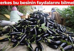 Pazar tezgahına gelmesine sayılı günler kaldı! Fırında pişirip kaşık kaşık yiyin: Damarları derinlemesine temizliyor