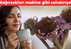 Çayını yapıp bardak bardak için! İçmeyen bin pişman: Doğal ağrı kesici olarak biliniyor, Bağırsakları makine gibi çalıştırıyor