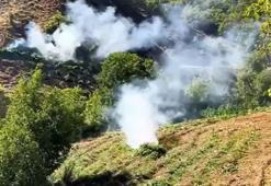 Diyarbakır'da 7 milyon 543 bin kök kenevir ve skunk ele geçirildi