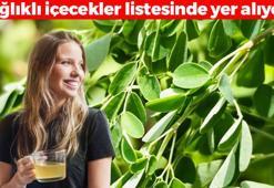 Süper besin olarak da biliniyor! Yeşil çayı tarihe karıştırıyor: 300'den fazla hastalığa deva oluyor, çayını demleyip bardak bardak için
