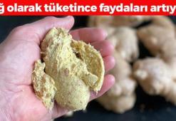 Her lokması iltihabın kökünü kurutuyor! Çiğ tüketince faydası 10 kat artıyor, gaz, şişkinlik ve hazımsızlığın kökünü kazıyor!