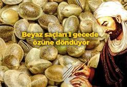 Boya değil bitkisel yağ! Beyaz saçları 1 gecede özüne döndüren İbn-i Sina önerisi