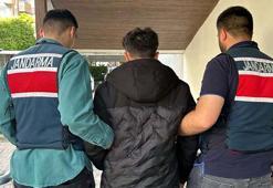 Bakan Yerlikaya: 4 il merkezli dolandırıcılık operasyonunda 35 şüpheli tutuklandı