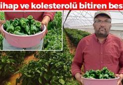 Manisa'da hasadı başladı, kilosu 250 TL! Bağırsakları harıl harıl çalıştırıp iltihabın ve kolesterolün kökünü kurutuyor! Doğanın C vitamini kralı