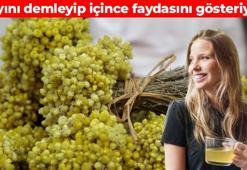 Kıymeti az biliniyor, bir kere tüketen vazgeçemiyor! Çayını demleyip için: Faydaları saymakla bitmiyor