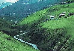 Yaylalar... Yaylalar...