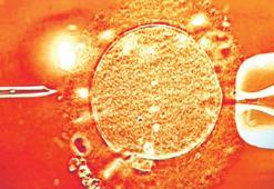 Kanserli donörden 67 çocuk!