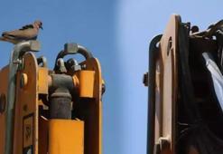 150 bin TL zararı göze aldı, kepçesini 17 gündür çalıştırmıyor! Sebebi şoke etti