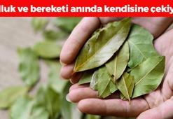 1 parçası yetiyor! Bolluk ve bereketi mıknatıs gibi kendisine çekiyor, çil çil para yağdırıyor!