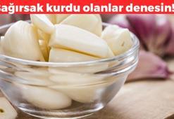 Bağırsak kurdunu döküyor! Günde 1 tane yutun: Mideyi rahatlatıp boşaltım sistemini saat gibi çalıştırıyor