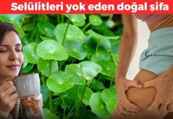 Selülitleri yok eden doğal şifa! Haftalar içerisinde etkisi gösteriyor: Kimyasal kremleri tarihe gömüyor, birkaç bardak içmek yetiyor