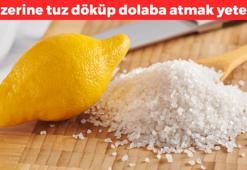 Üzerine tuz döküp dolaba atın! Saatler içerisinde etkisi gösteriyor: Kötü kokudan ve bakteriden eser kalmıyor