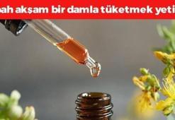Bitkilerin Profesörü' tek tek anlattı! Sabah akşam bir damla kullanmak yetiyor: Basura şifa oluyor, balla karıştırmak etkisini katlıyor