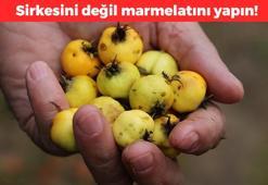 Sirkesini değil marmelatını yapın! Kan dolaşımını hızlandırıyor: İp gibi incelmiş damarları genişletiyor