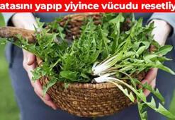 Egeliler sofrasından eksik etmiyor! Herkes faydalarını bilmeli: Damarda kolesterolden eser bırakmıyor
