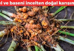 1 saatte 2 günlük kalori yaktırıyor! 1 bardak sıcak suya ekleyin: Beli 5 santim inceltiyor