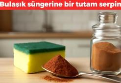Bulaşık süngerine bir tutam serpmek yetiyor! Deneyen her gün uyguluyor