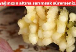 Sarımsağı ayağınıza sürerseniz ne olur? Deneyenler gözlerine inanamıyor!