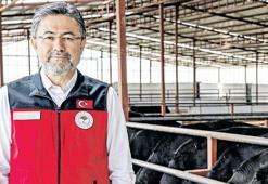 Satılamayan kurbanları ESK alacak
