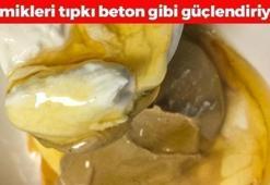 Kalbin en iyi dostu! Kemikleri beton gibi güçlendiriyor, tahinin içine 1 bardak eklemek yetiyor! Ispanaktan 8 kat daha etkili, kolesterolü bitiriyor!