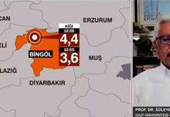 Bingöl'deki 4.4'lük depremden sonra uzman isimden korkutan uyarı