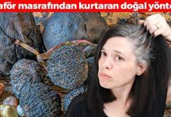 Beyaz düşmüş saçları simsiyah yapıyor! Kuaför masrafını tarihe karıştırıyor