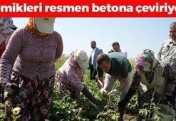 Bağırsakları motor gibi çalıştırıp magnezyum depolarını fullüyor! Kilosu 90 TL: Kemikleri beton gibi yapıyor