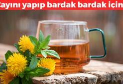 Karaciğerdeki toksinleri süzgeç gibi süzüyor! Doğada kolayca bulunuyor: Çayını yapıp 1 bardak için