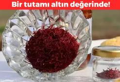 Bir tutamı altın değerinde! Yüzyıllardır hem mutfaklarda hem de sağlık alanında kullanılıyor: Damardaki iltihabı söküp atıyor, vücudu dipçik gibi yapıyor