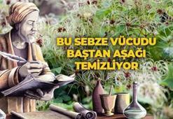 İbn-i Sina yüzyıllar önce önerdi: Bu sebze vücuda adeta reset atıyor, baştan aşağı temizliyor!