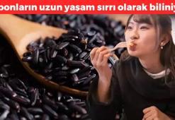 Japonların uzun yaşam sırrı! Pişirip kaşık kaşık tüketin: Vücudu antioksidana doyuruyor, demir, magnezyum, çinko deposu