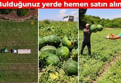 Adana'da hasadı devam ediyor! Kilosu 9-10 TL'ye kadar düştü: Kavurucu sıcaklarda tüketin