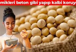 Tek lokması kolesterolü yerle bir ediyor! Tam bir protein deposu: Kıymeti hiç bilinmiyor