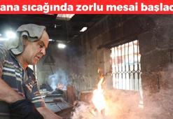 Kurak topraklarda zorlu mesai başladı! Yazın hazırlayıp kış boyu tüketiyorlar: Bağırsak hastalıklarının doğal şifa kaynağı