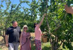 Türk sinemasının efsane ismi Perihan Savaş, yöresel kıyafet giyip kiraz hasadını başlattı