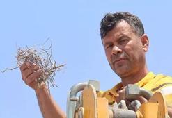 Kumru yavrularını rahatsız etmemek için 27 gün kepçesini çalıştırmadı