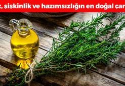 Gaz, şişkinlik ve hazımsızlığın kökünü kazıyor! Çayını yapıp bardak bardak için: İltihabı kurutup vücudu C vitaminine boğuyor!
