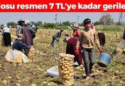 Kilosu 7 TL'ye kadar düştü! Kolesterolü düşürüp kabızlığın ve basurun kökünü kazıyor!
