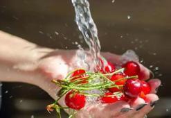 Yazın bol bol yiyin! Kalp sağlığını destekliyor