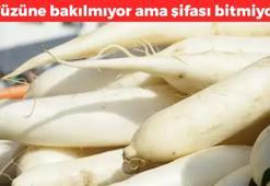 Pazarda yüzüne bakılmayan süper gıda! Bal ve zencefille karıştırmak yetiyor: Kanser hücrelerine karşı savaş açıyor, C vitamininde limonu solluyor